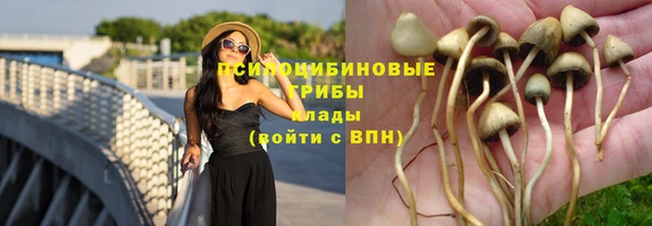 винт Баксан