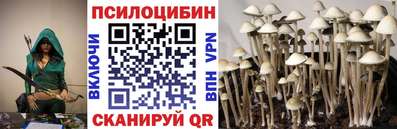 ссылка на мегу как зайти  Стрежевой  Галлюциногенные грибы Cubensis 